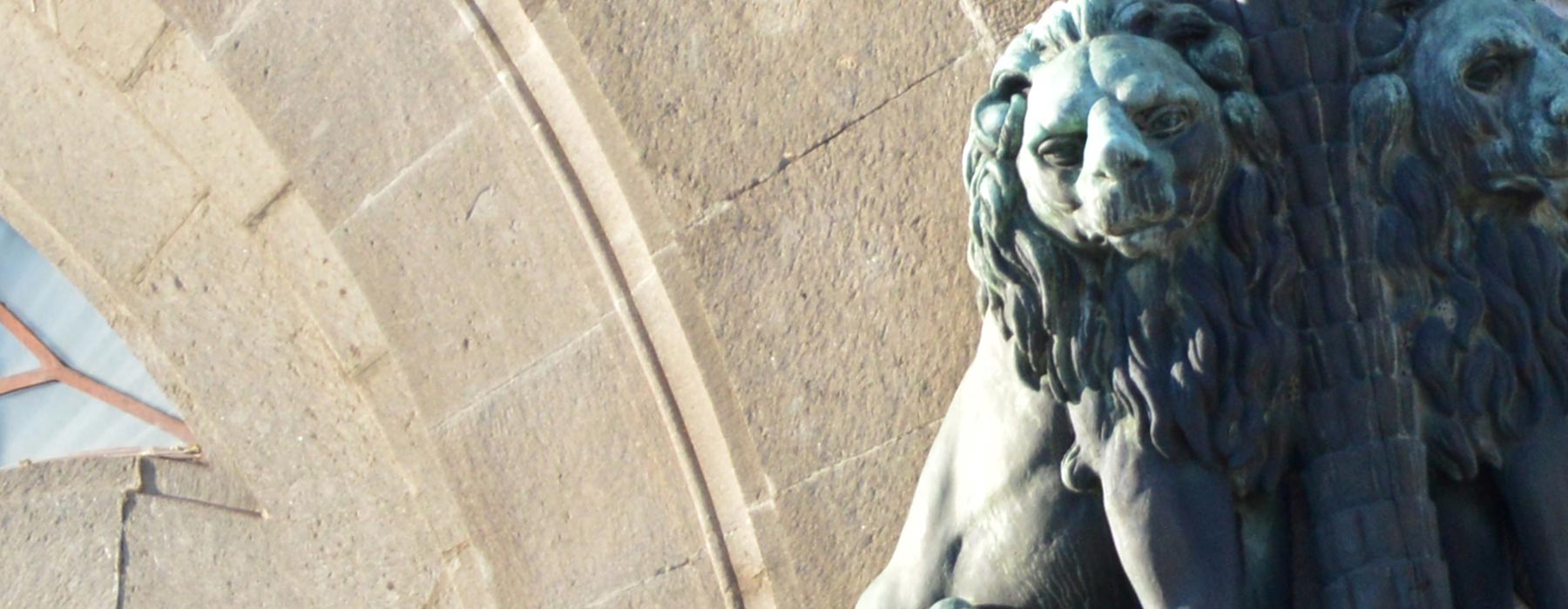 I leoni di Viterbo