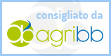 Consulta AGRIBB