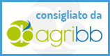 Consulta AGRIBB